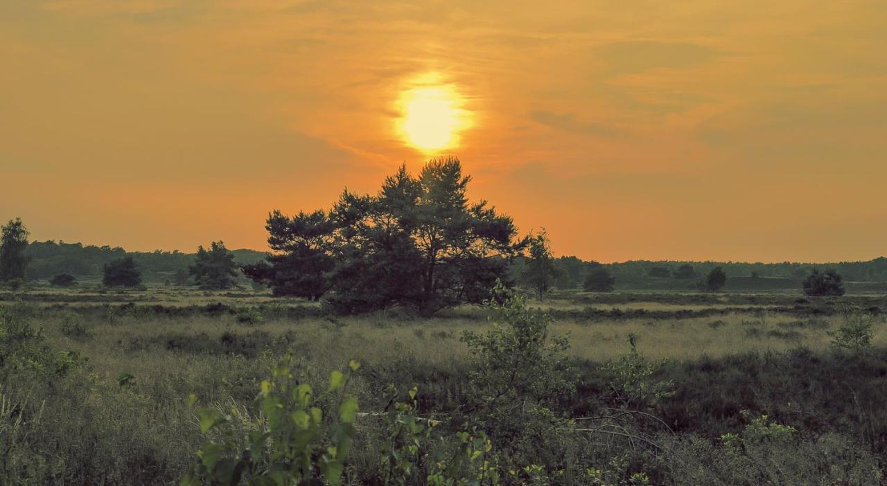 Lodge Koolmees Nunspeet Veluwe 外观 照片